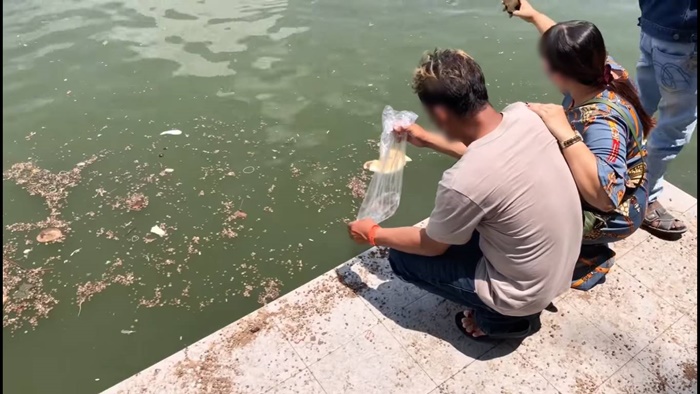 ปล่อยยังไม่หมดถุง ชะโดพุ่งมางาบ !!