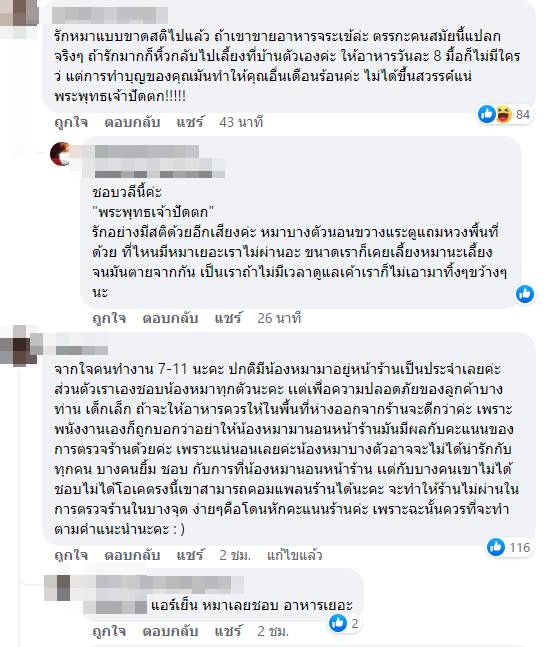 อาหารหมา