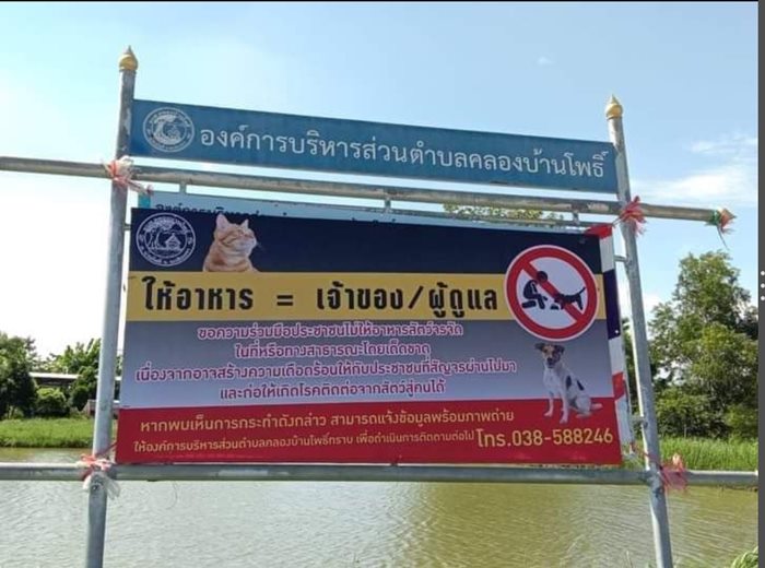 ใจดำหรือทำถูกแล้ว