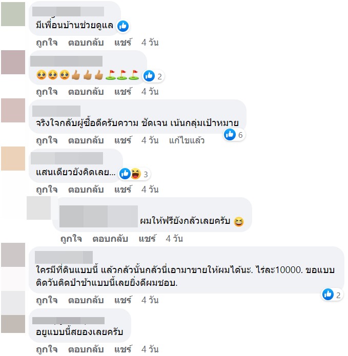 ขายที่ดิน 2 ไร่ 