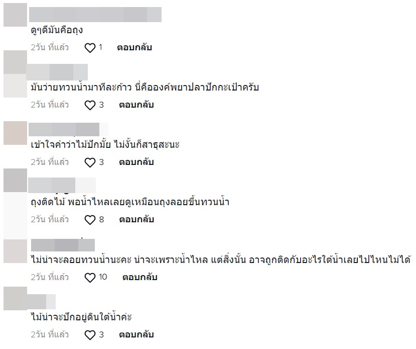ตัวอะไรในคลองสามเสน