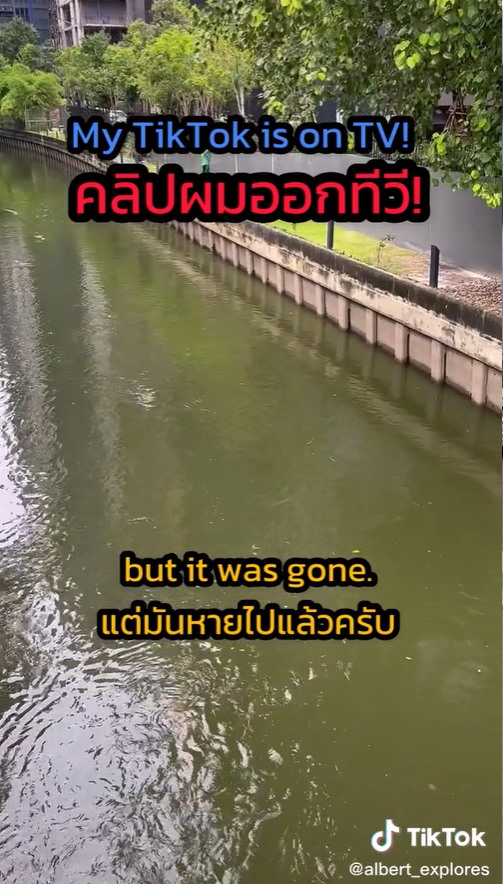 ตัวอะไรในคลองสามเสน