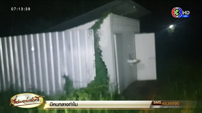 ทำร้ายหมา