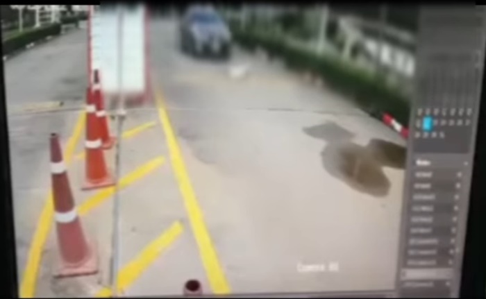  ขับรถทับหมาแก่