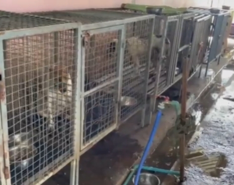 รับบริจาค 