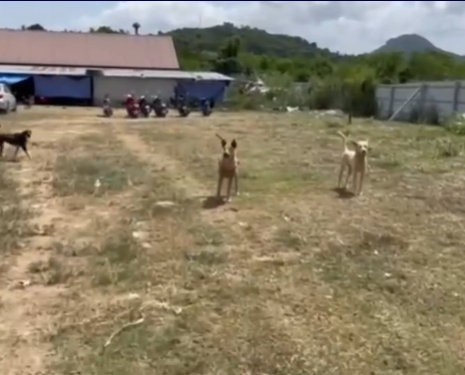 รับบริจาค 