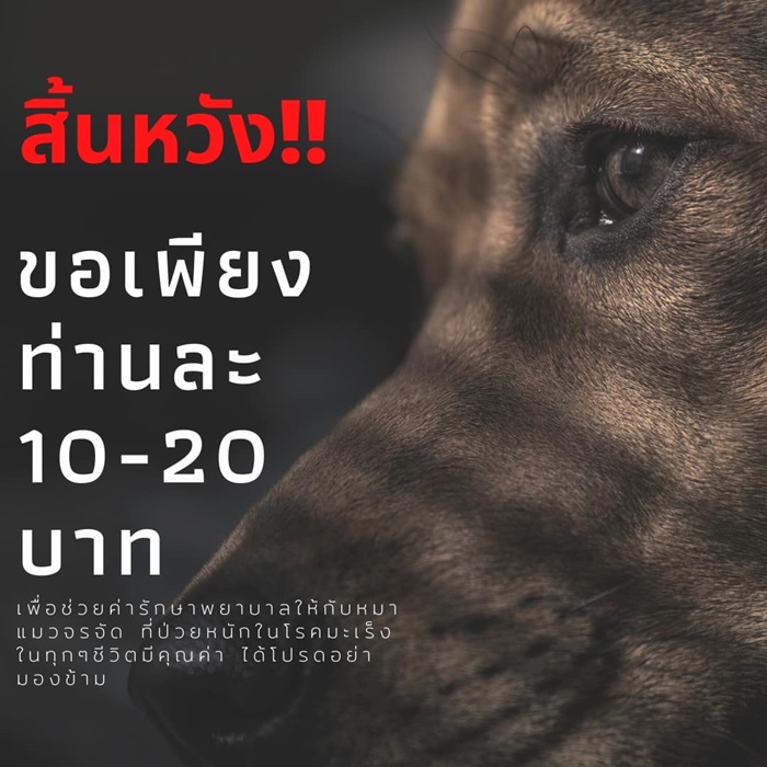 รับบริจาค