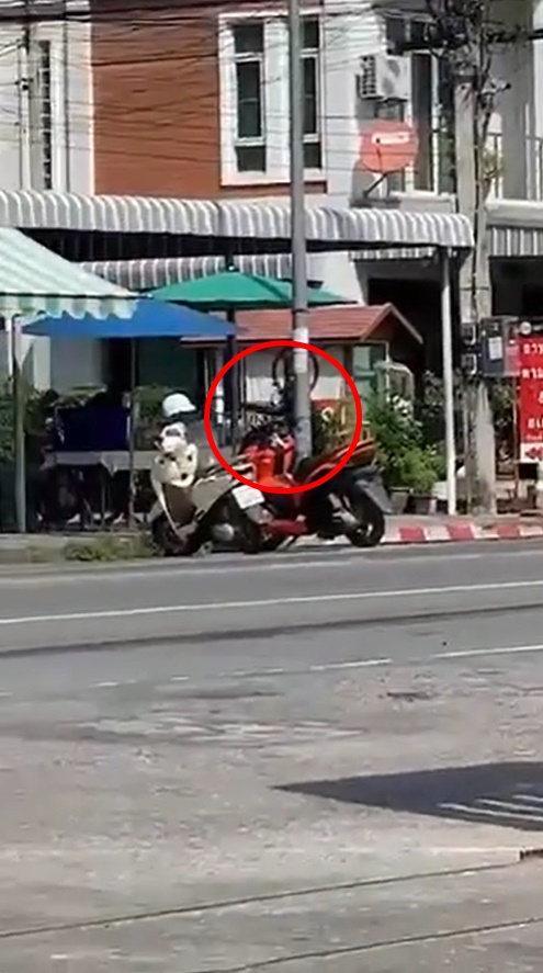 ปล้นร้านทอง