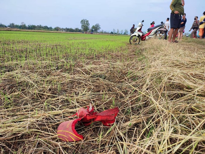 ฟ้าผ่าตาย