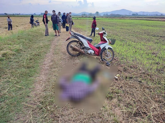 ฟ้าผ่าตาย