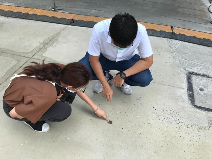  ฟอสซิลกลางสยาม