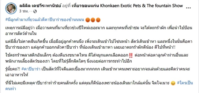 ทำร้ายสัตว์ 