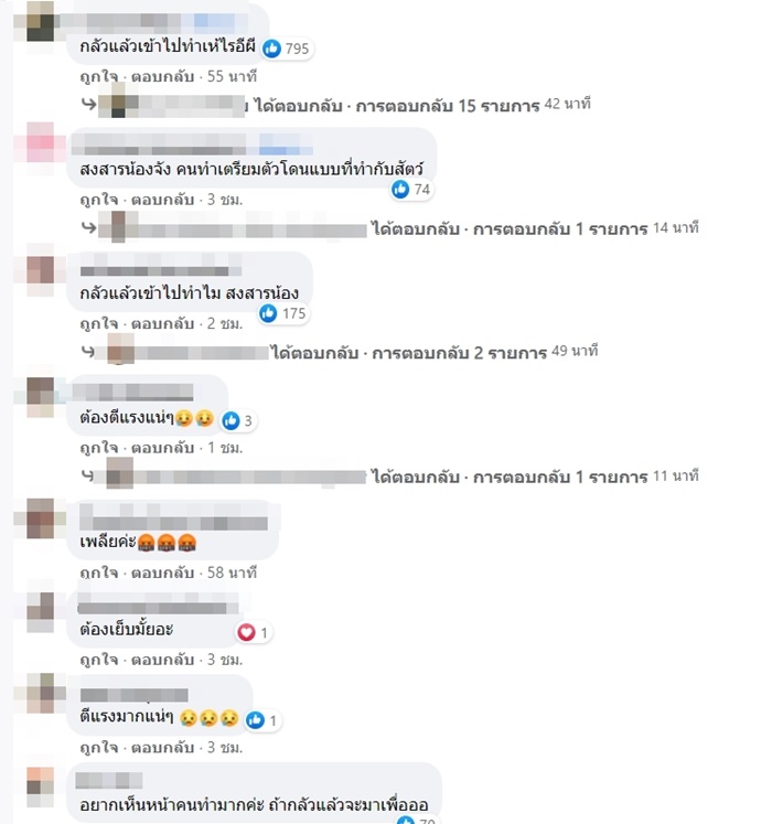 ทำร้ายสัตว์ 