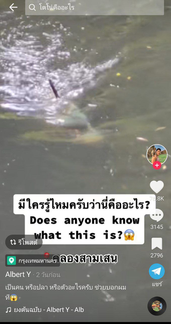 ตัวอะไรในคลองสามเสน