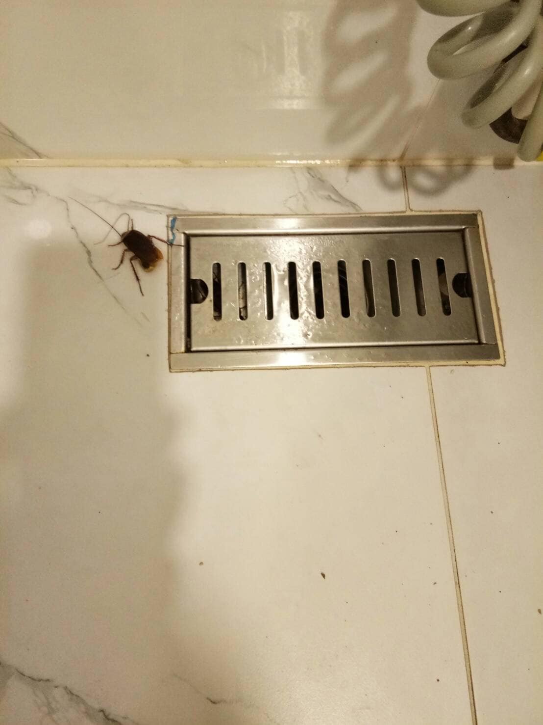 ลูกค้าโวย