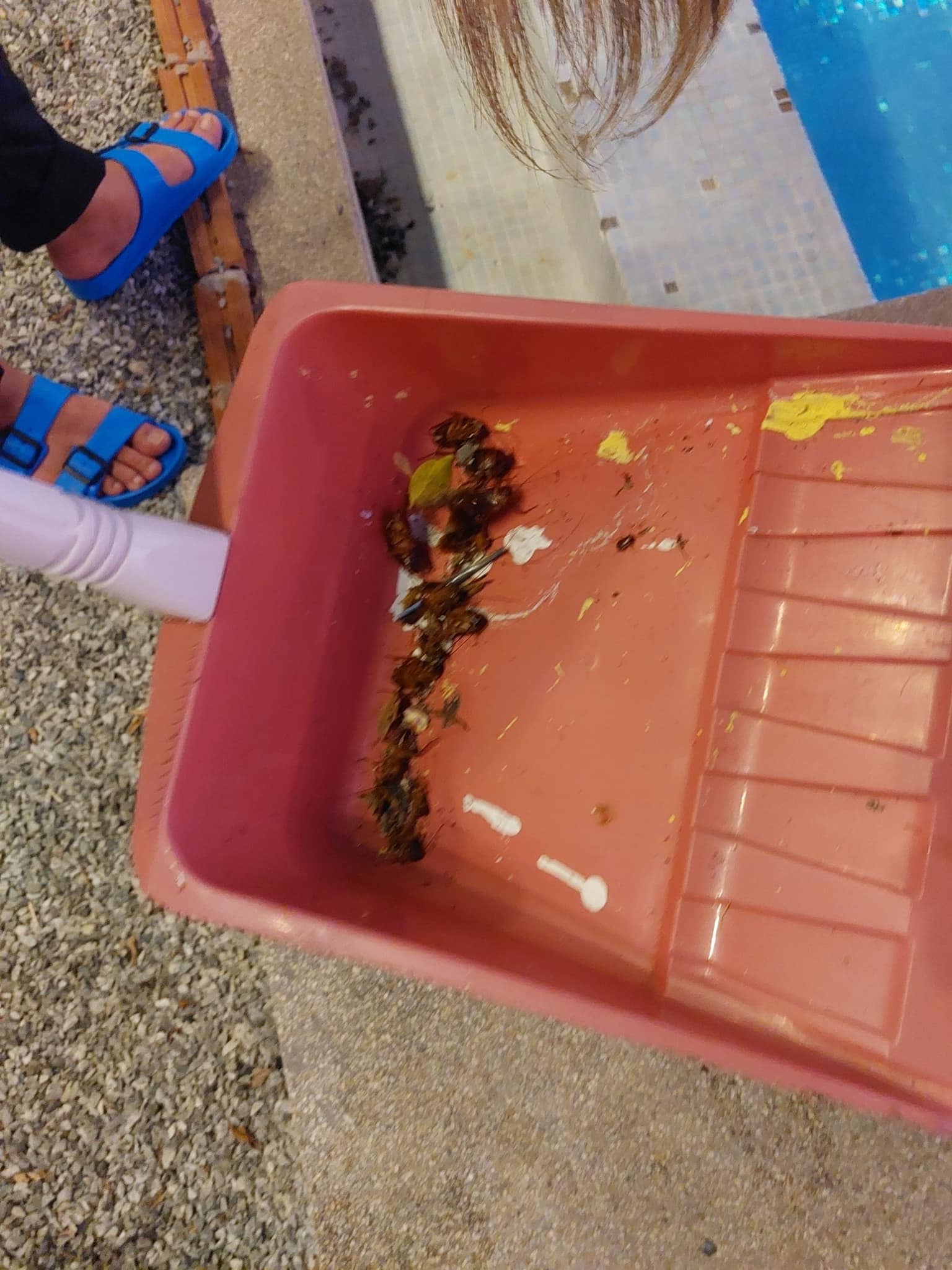 ลูกค้าโวย