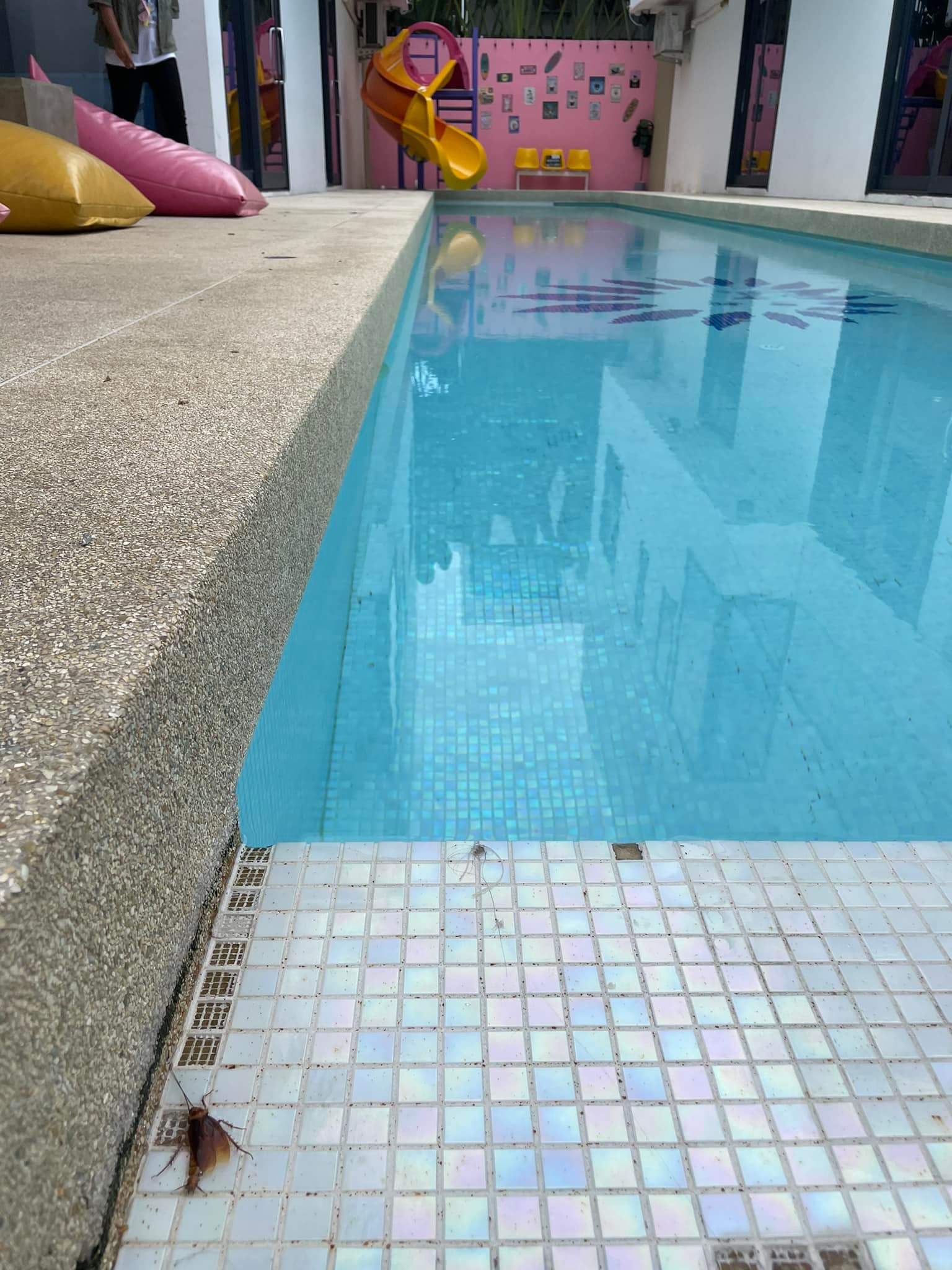 ลูกค้าโวย