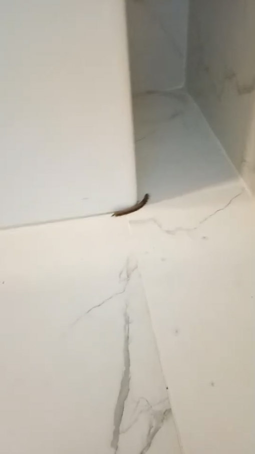 ลูกค้าโวย