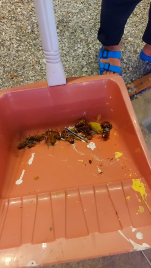 ลูกค้าโวย