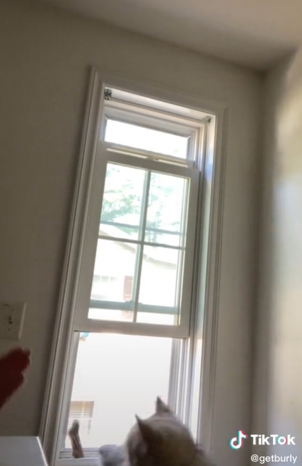  เกือบช่วยได้แล้ว... แต่หักมุม !! 