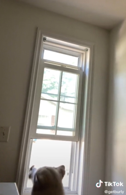  เกือบช่วยได้แล้ว... แต่หักมุม !! 