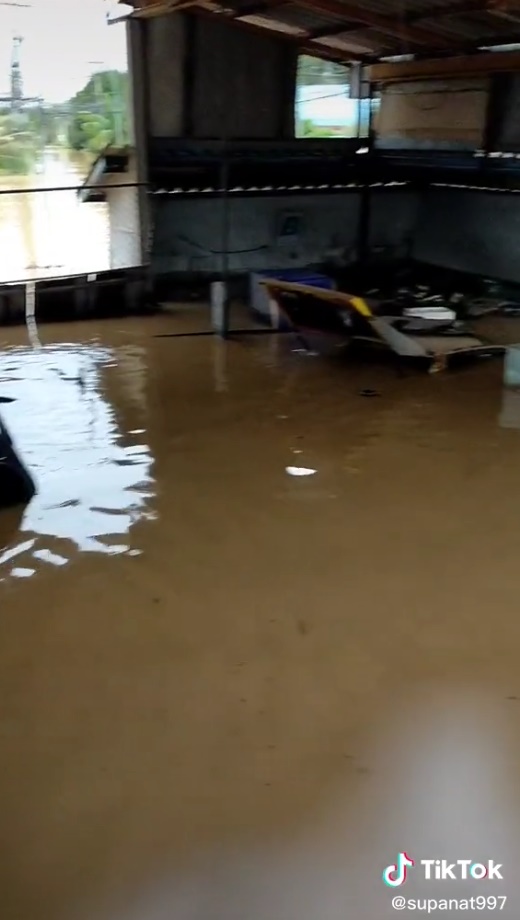 น้ำท่วม 