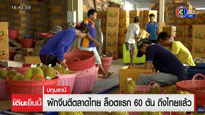 ผักจีนตีตลาดไทย 