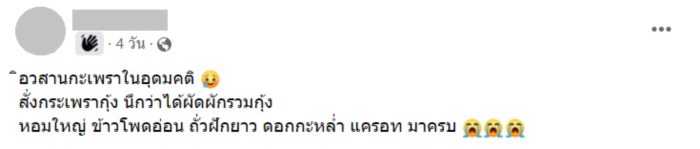 ผัดกะเพราใส่กะหล่ำดอก 