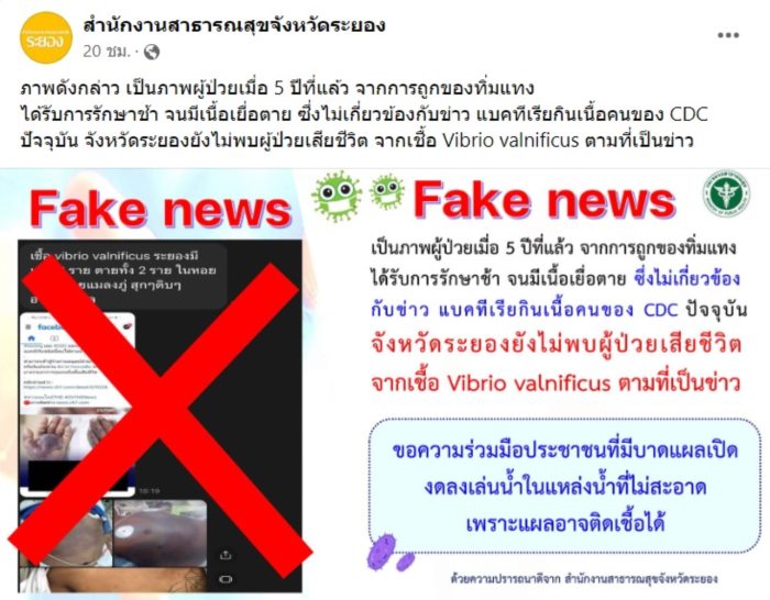 แบคทีเรียกินเนื้อ  