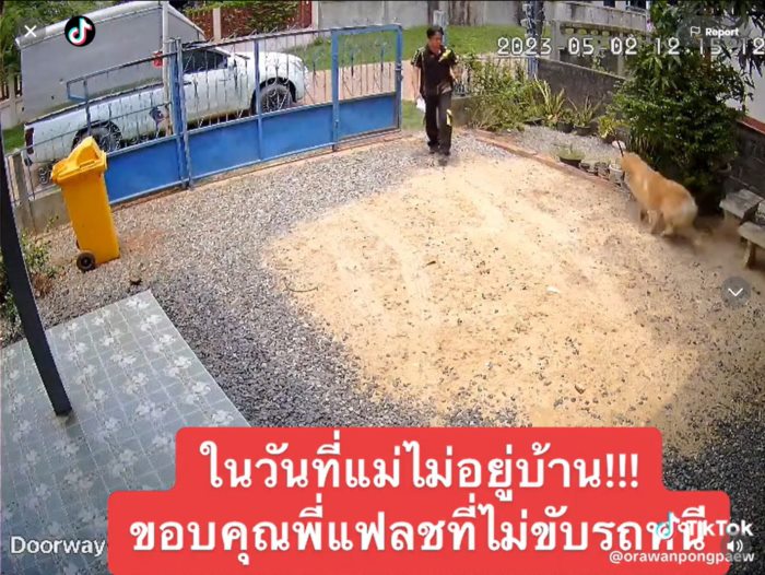 ส่งของ 1 นาที ไล่จับหมา 1 ชั่วโมง 