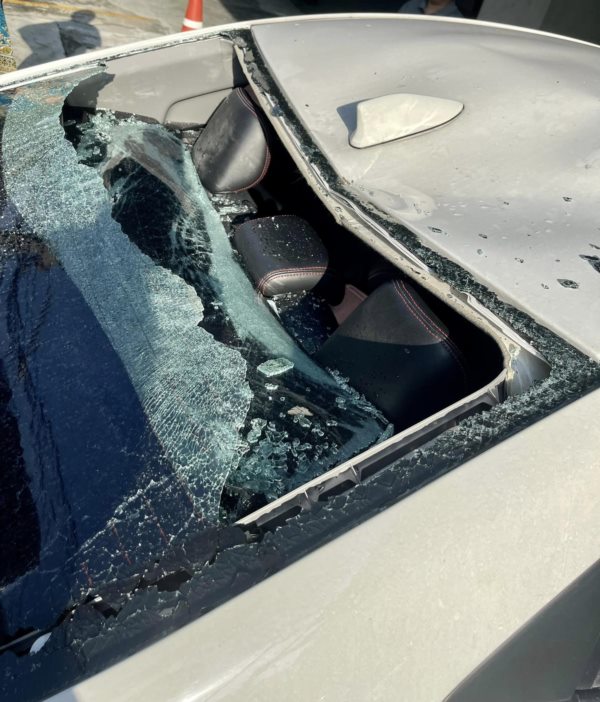 แมวตกใส่รถ