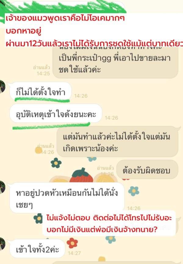 แมวตกใส่รถ