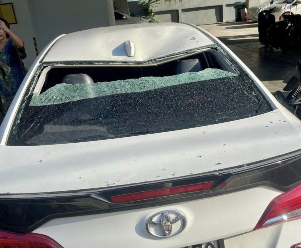 แมวตกใส่รถ