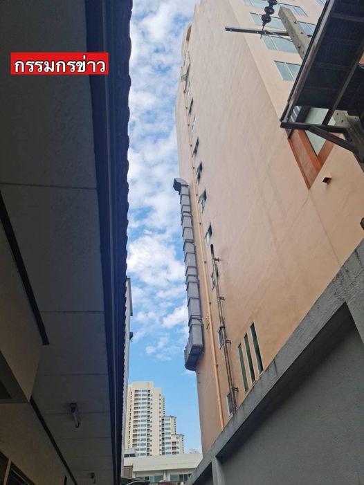 ดีเจโก กรีนเวฟ