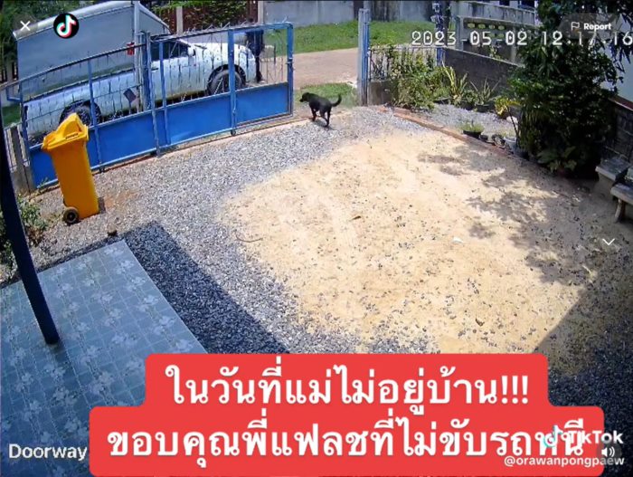 ส่งของ 1 นาที ไล่จับหมา 1 ชั่วโมง 