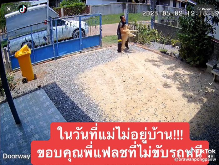 ส่งของ 1 นาที ไล่จับหมา 1 ชั่วโมง 