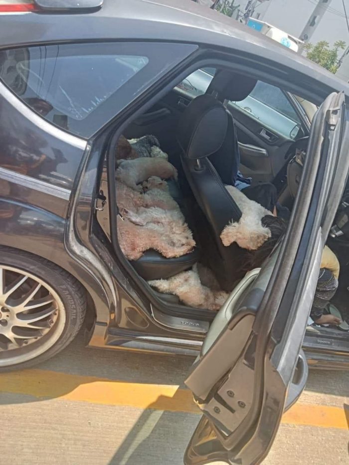  รมควันจบชีวิตตัวเอง 