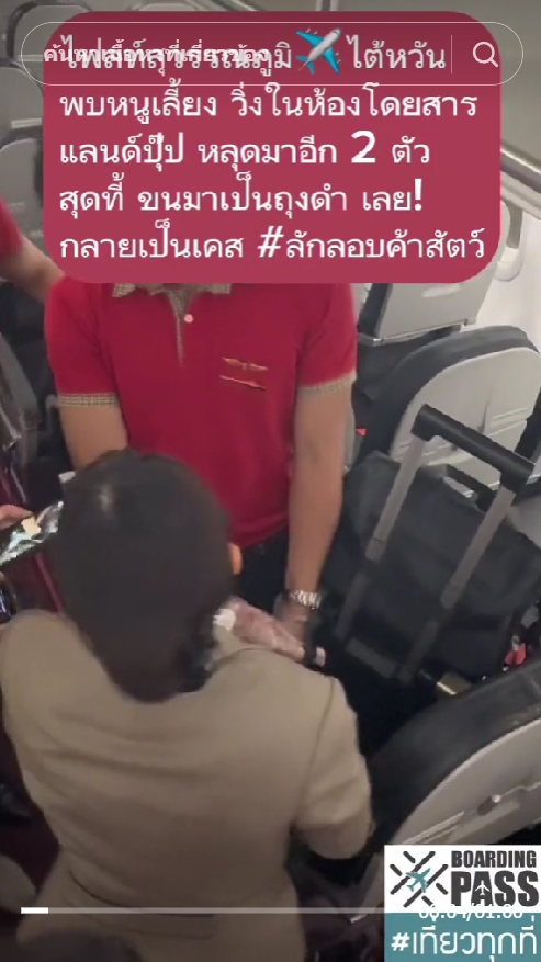 ลูกนากหลุด  