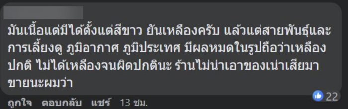 บุฟเฟต์