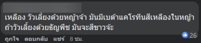 บุฟเฟต์