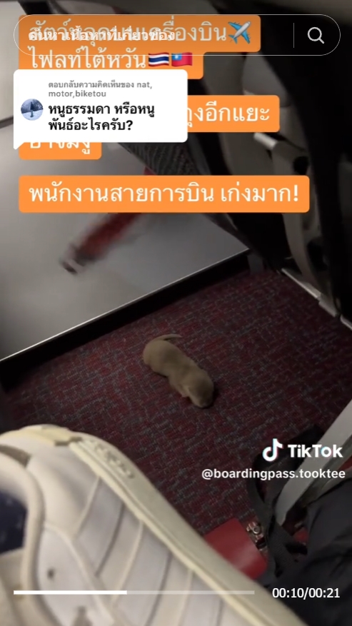 ลูกนากหลุด  