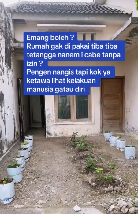 บ้านกลายเป็นสวนพริก 