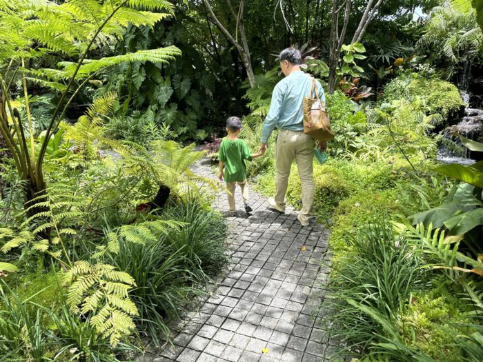 เซอร์ไพรส์วันเกิดลูก