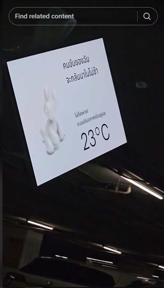 วิธีปล่อยน้องหมาไว้ในรถ