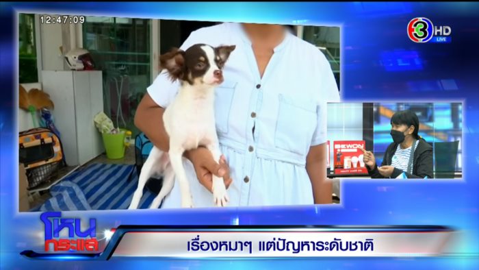 เรื่องหมา หมา แต่ปัญหาระดับชาติ !