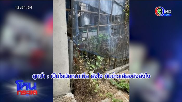 เรื่องหมา หมา แต่ปัญหาระดับชาติ !