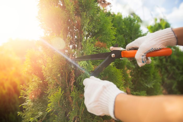  Hermes แอร์เมส