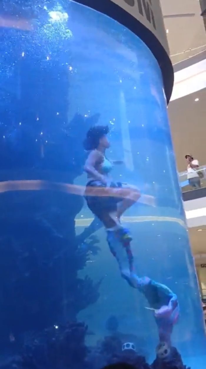 แสดงโชว์เงือก