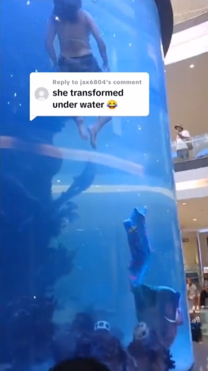 แสดงโชว์เงือก