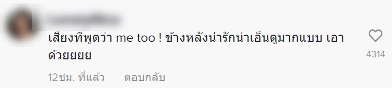 พิซซ่าหน้าลาบหมู